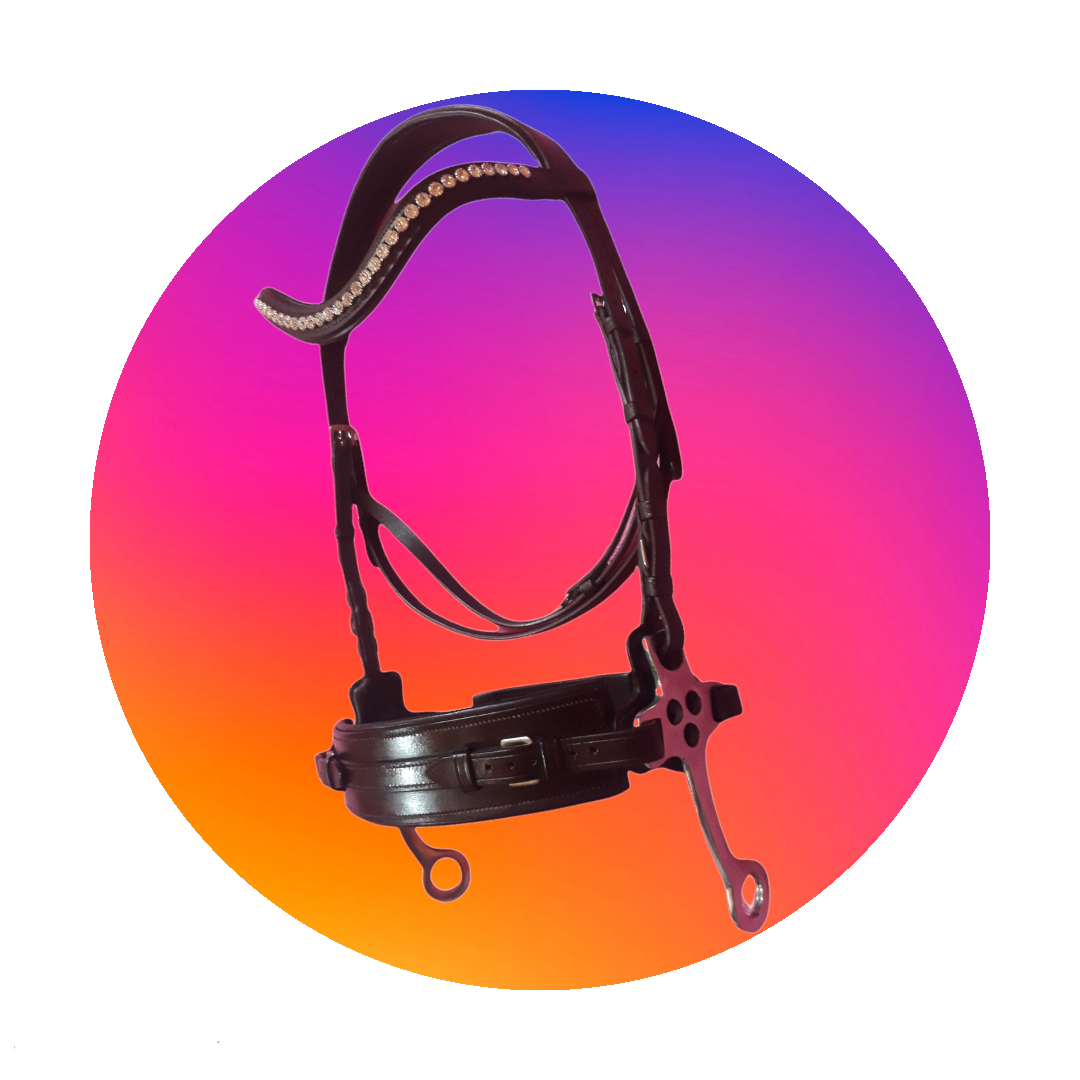 Cavasson Bit Bridle