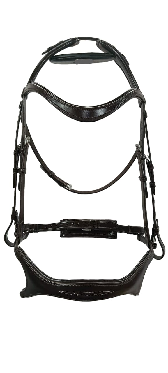 X shape Bridle