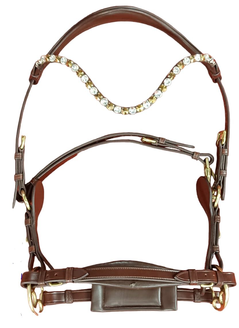 Star wheel Bridle
