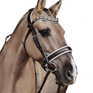 Straight Bridle