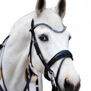 Snaffle Bridle