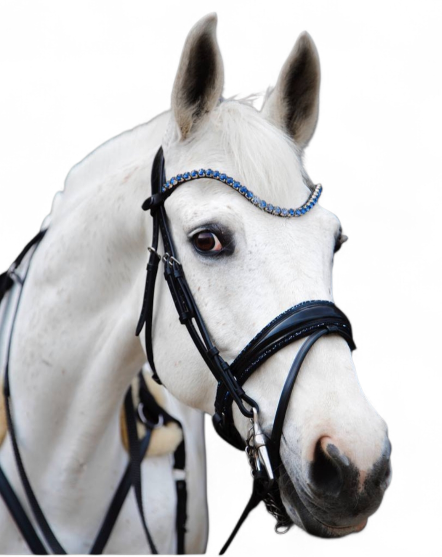 Snaffle Bridle