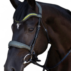 Glitter Bridle