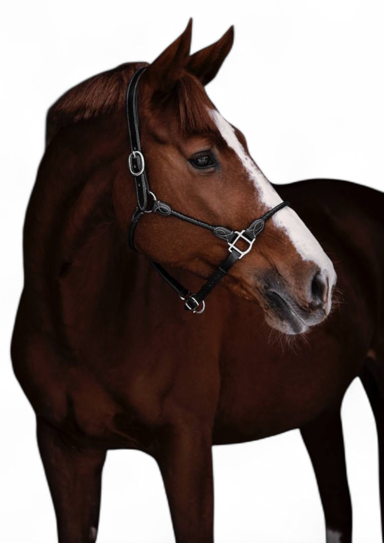 Round plaited Halter