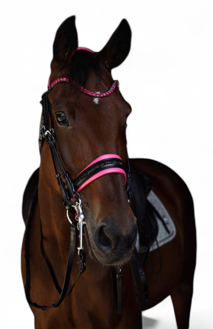 Magenta Bridle