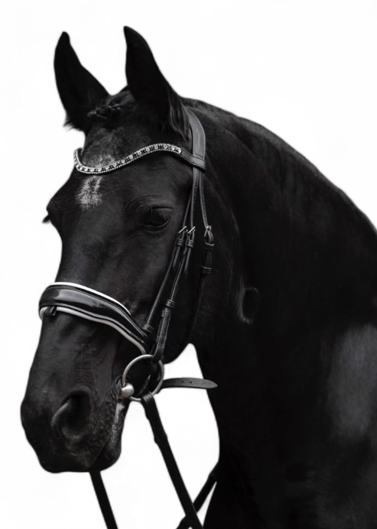 Comfort Fit Bridle