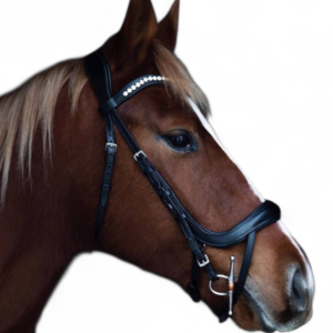 U shape Bridle