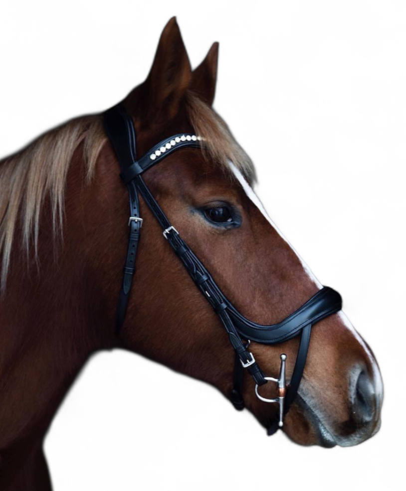U shape Bridle