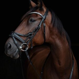 Stitched Bridle