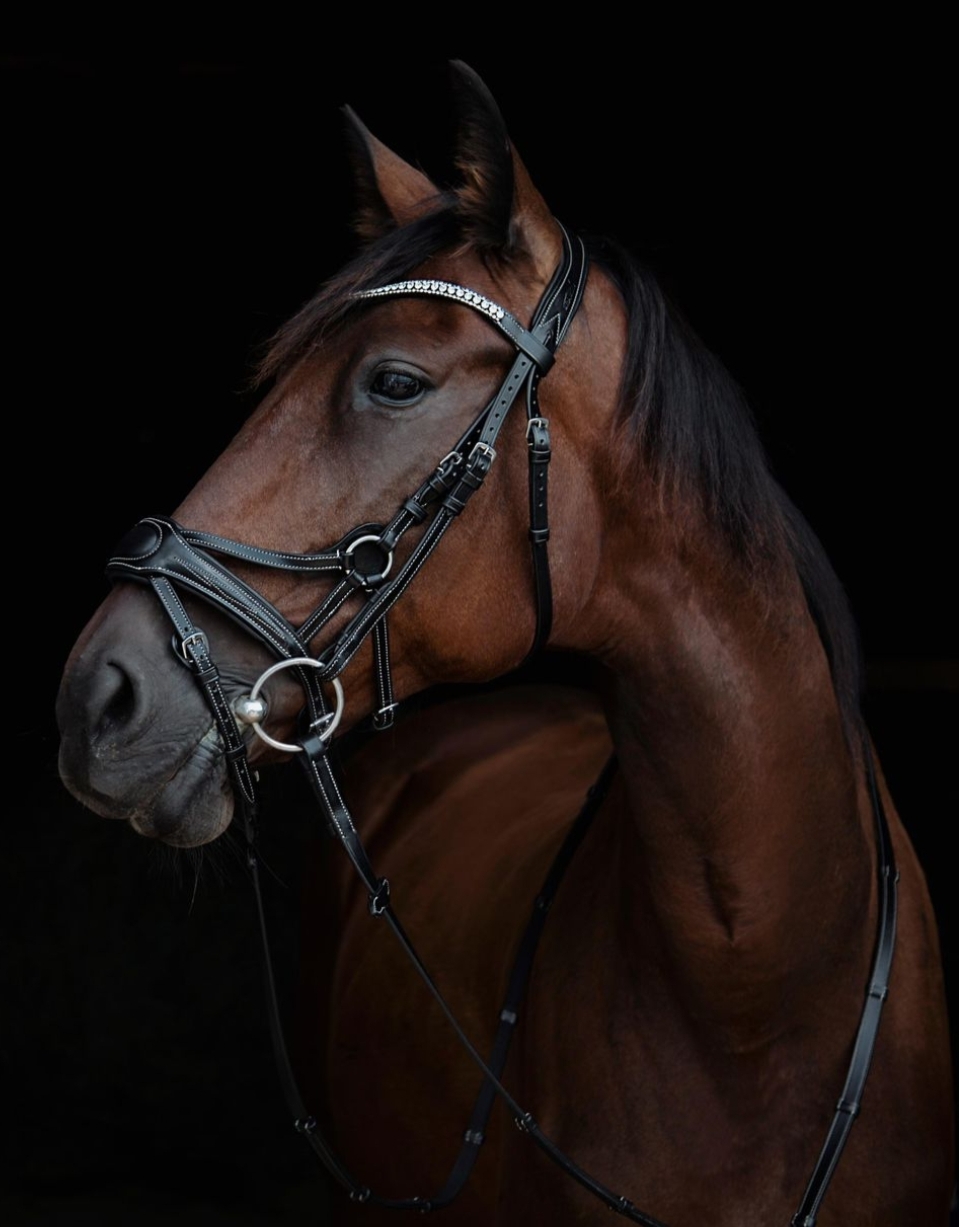Stitched Bridle