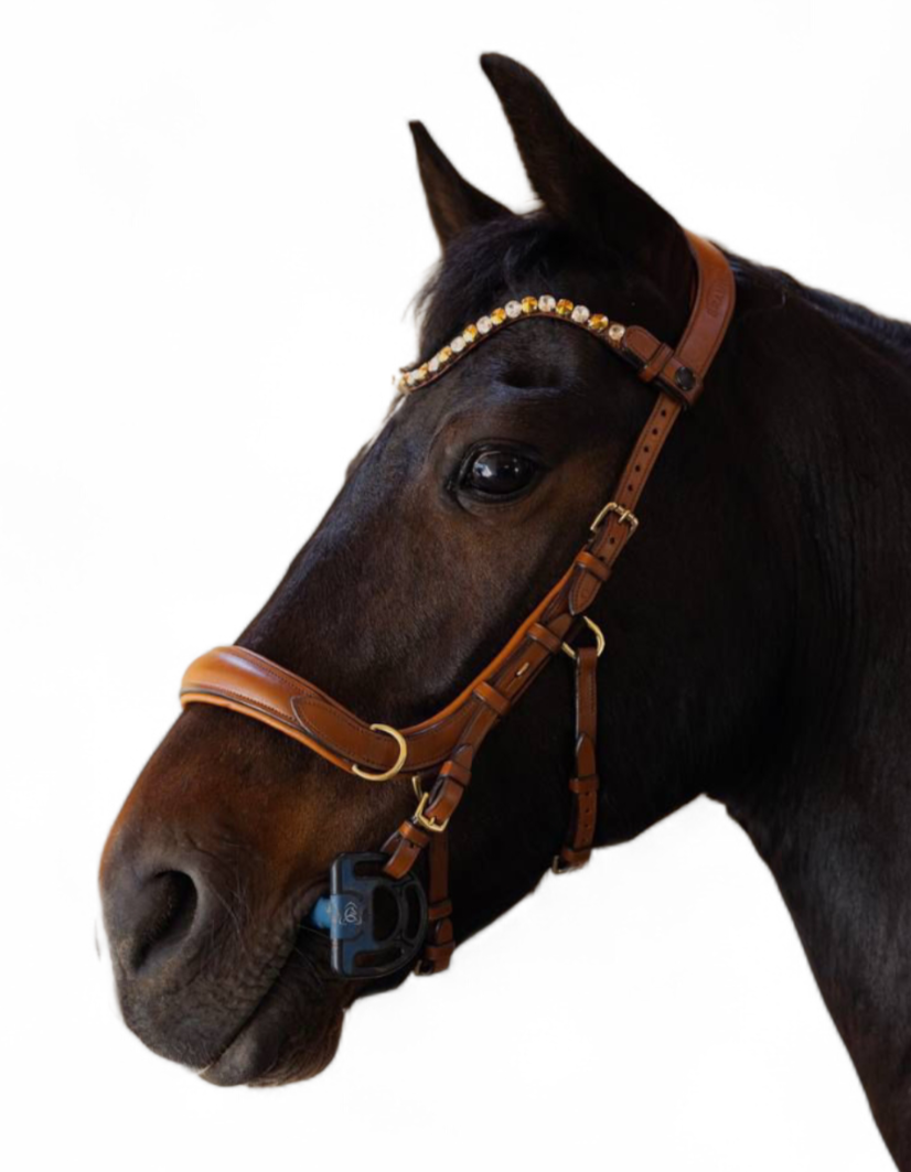 London Tan U Bridle