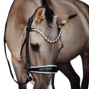 Round Bridle