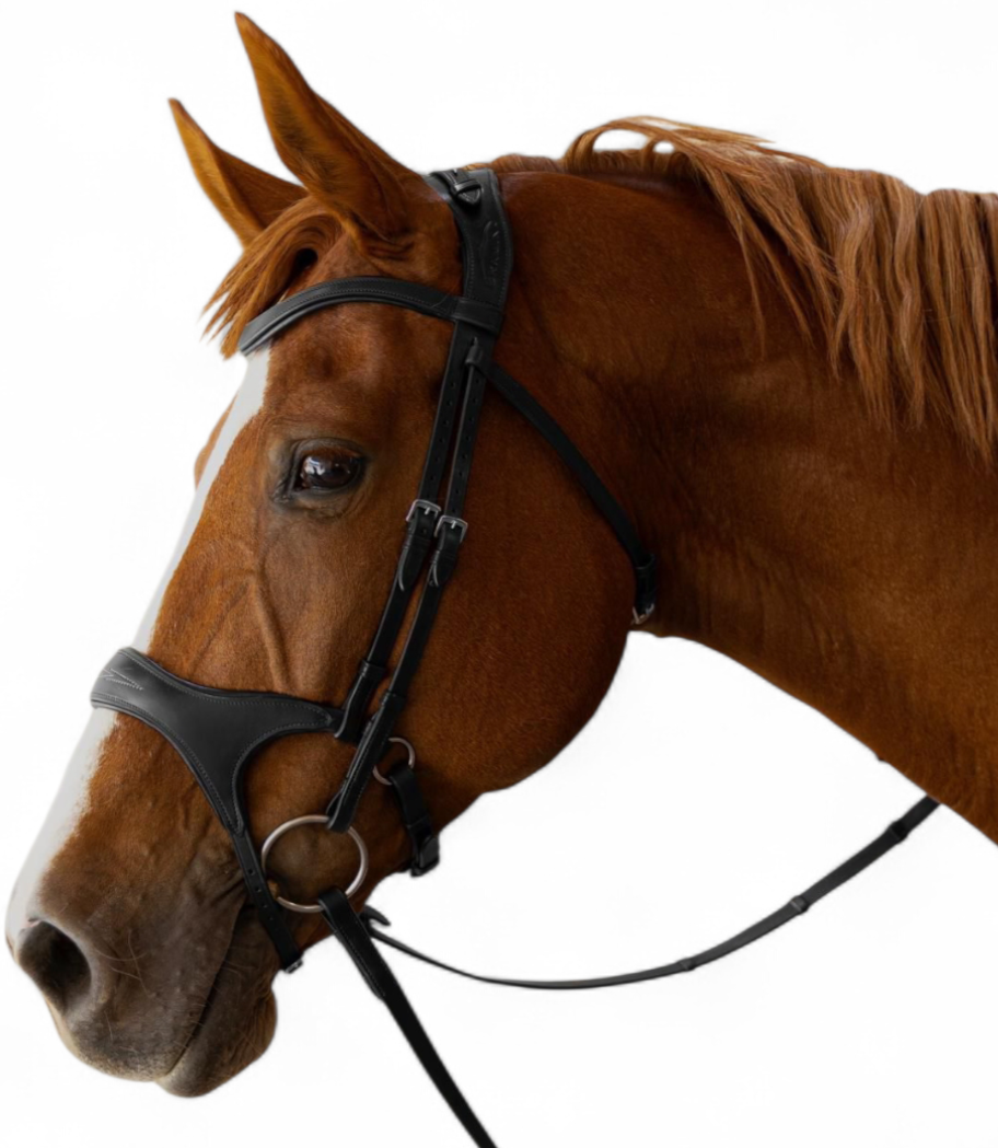 X Shape Bridle