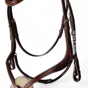 Mexican Bridle