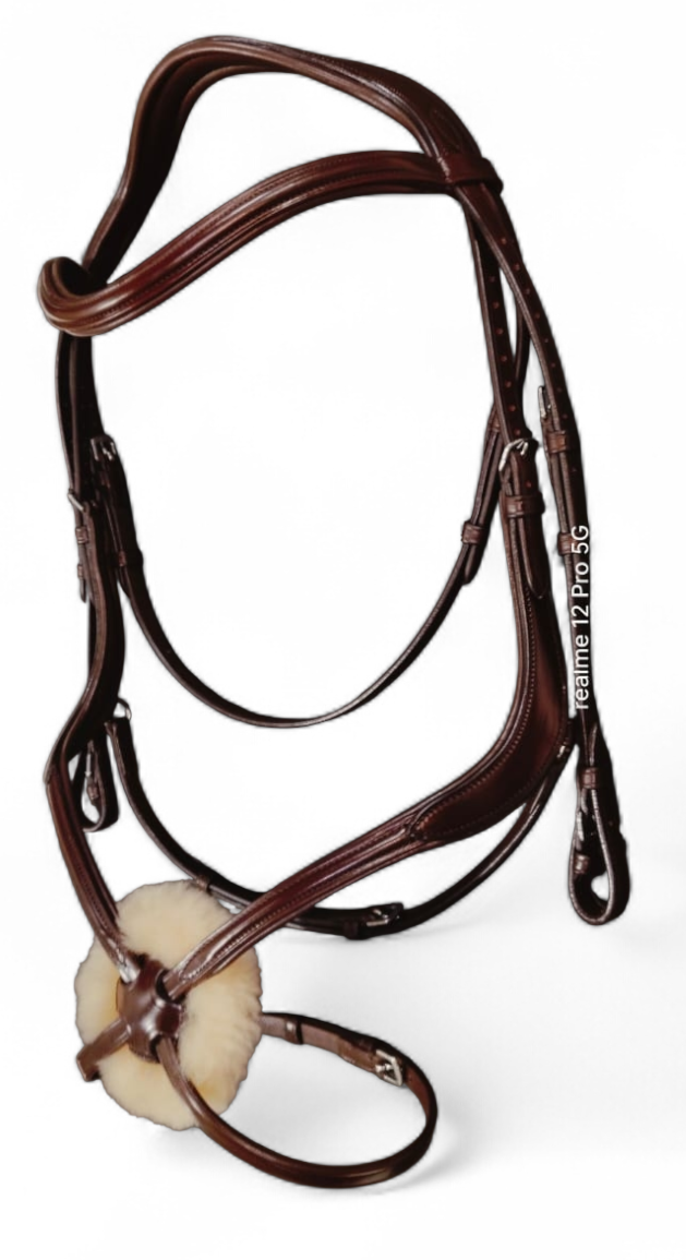 Mexican Bridle