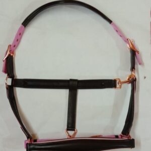 Leather and pp Halter