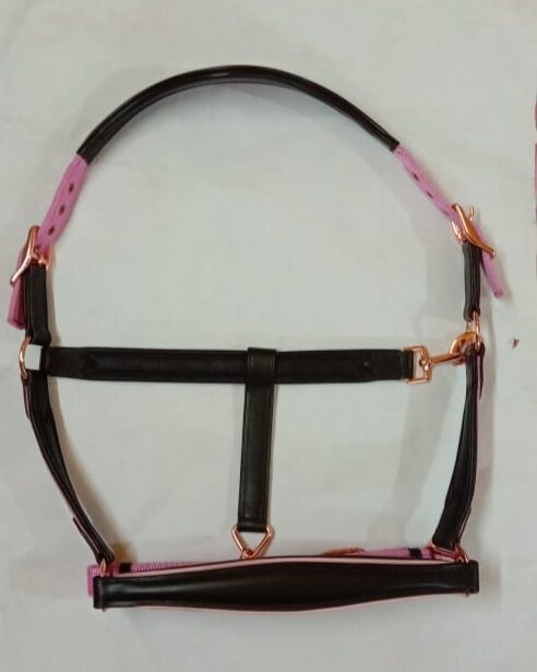 Leather and pp Halter