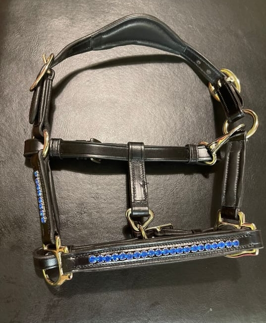 Show Halter