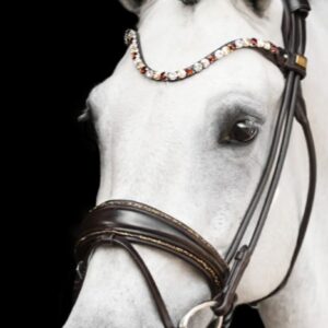 Venedig dx Bridle