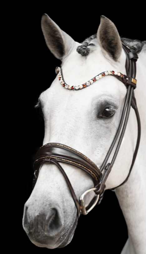 Venedig dx Bridle