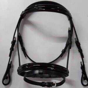 Patent training Bridle