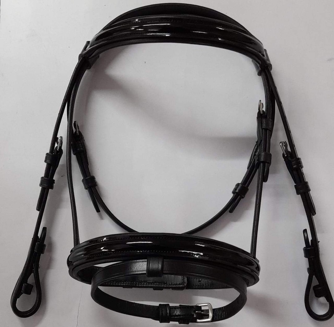 Patent training Bridle