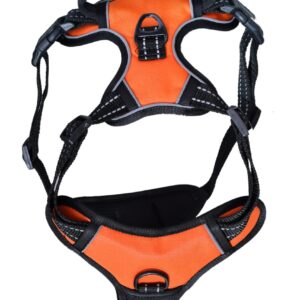 Comfort Fit Pet Product