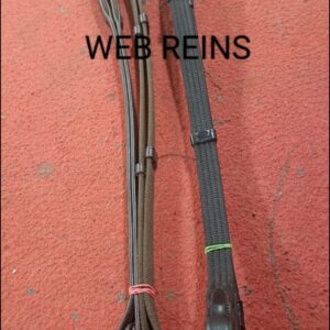 Web Reins