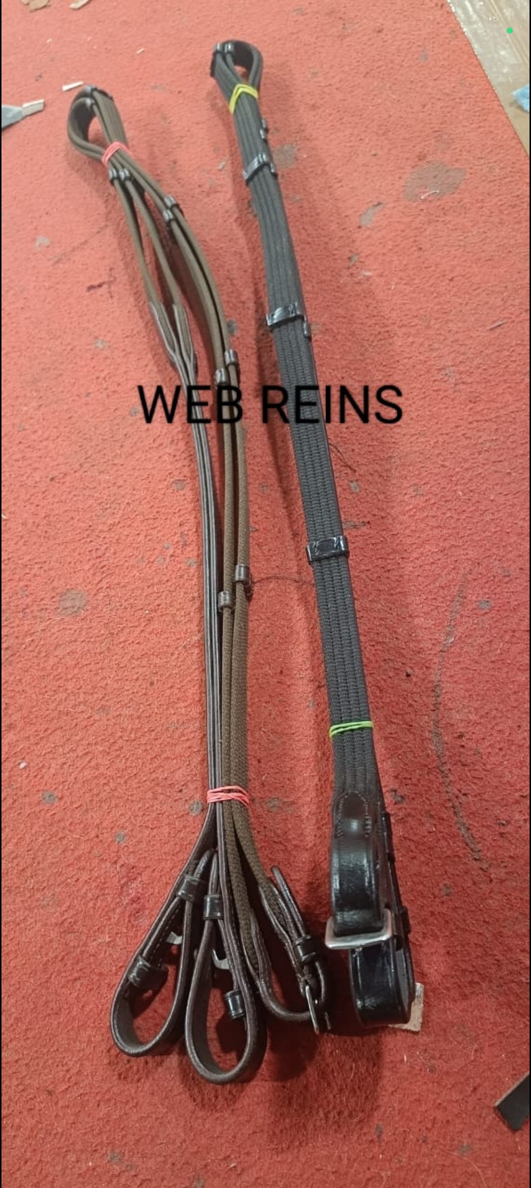 Web Reins